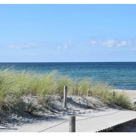 Wiedblick *